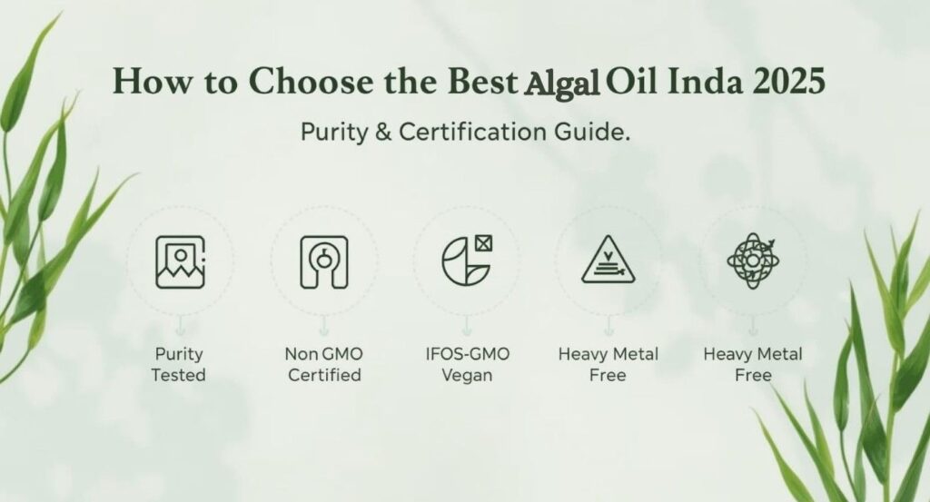 Best Algal Oil India 2025 