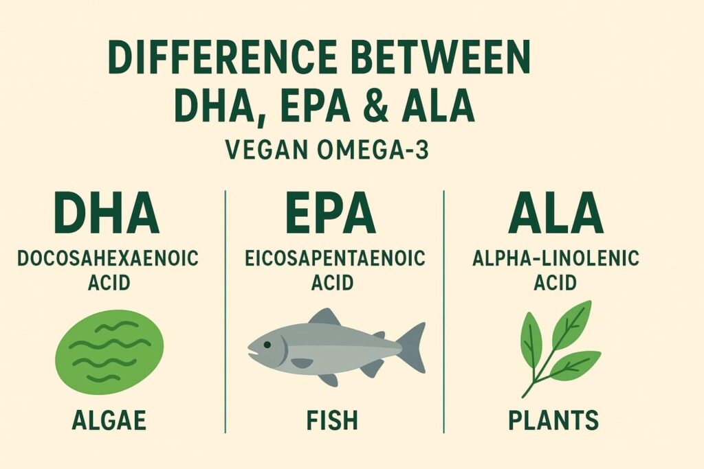 How to Read Omega 3 Label