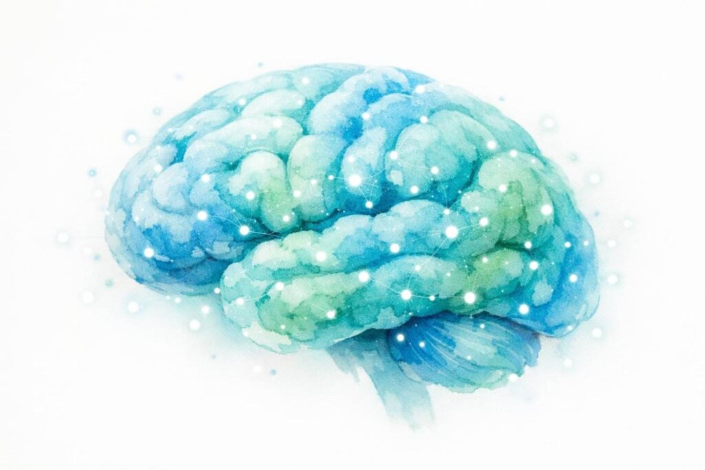Infant brain development and DHA — why breast milk DHA matters for Indian babies